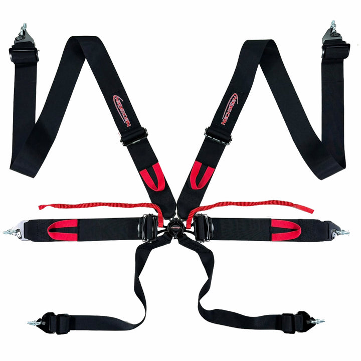 Racing Harness - ALL NEW!