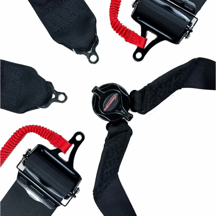 Racing Harness - ALL NEW!