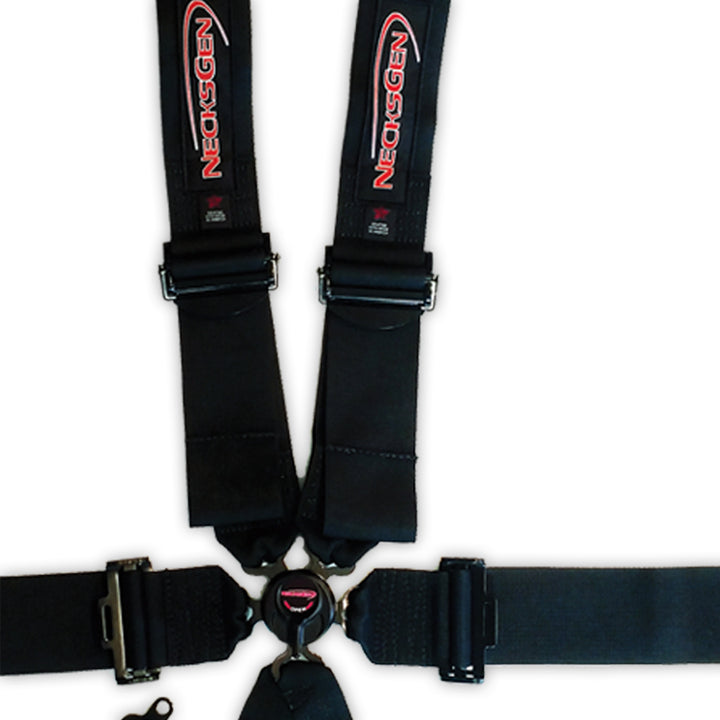 Racing Harness - Camlock